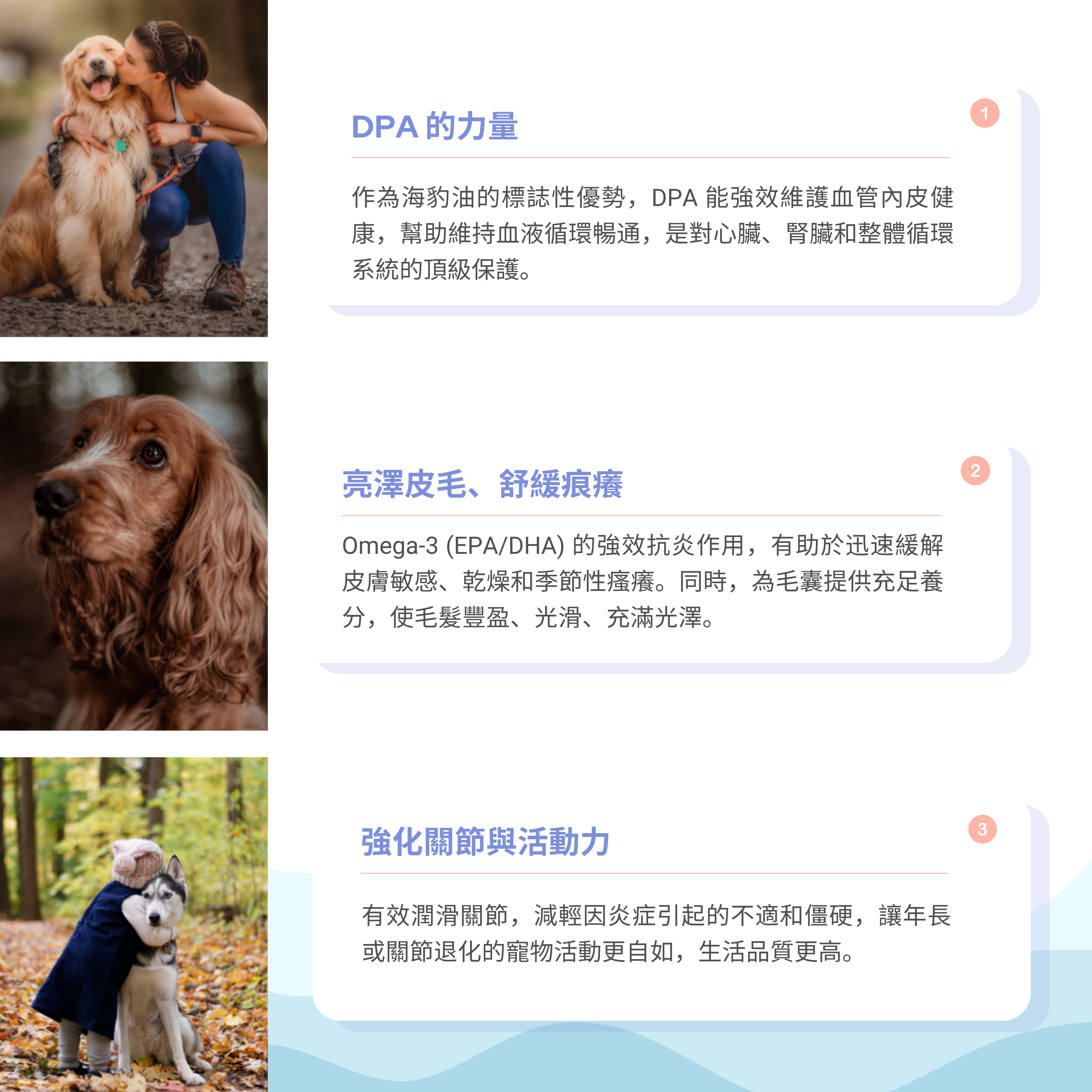 加拿大Carino Pets® Omega-3 Seal oil 海豹油（250ml）