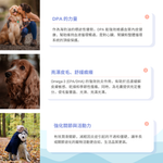 將圖片載入圖庫檢視器 加拿大Carino Pets® Omega-3 Seal oil 海豹油（250ml）
