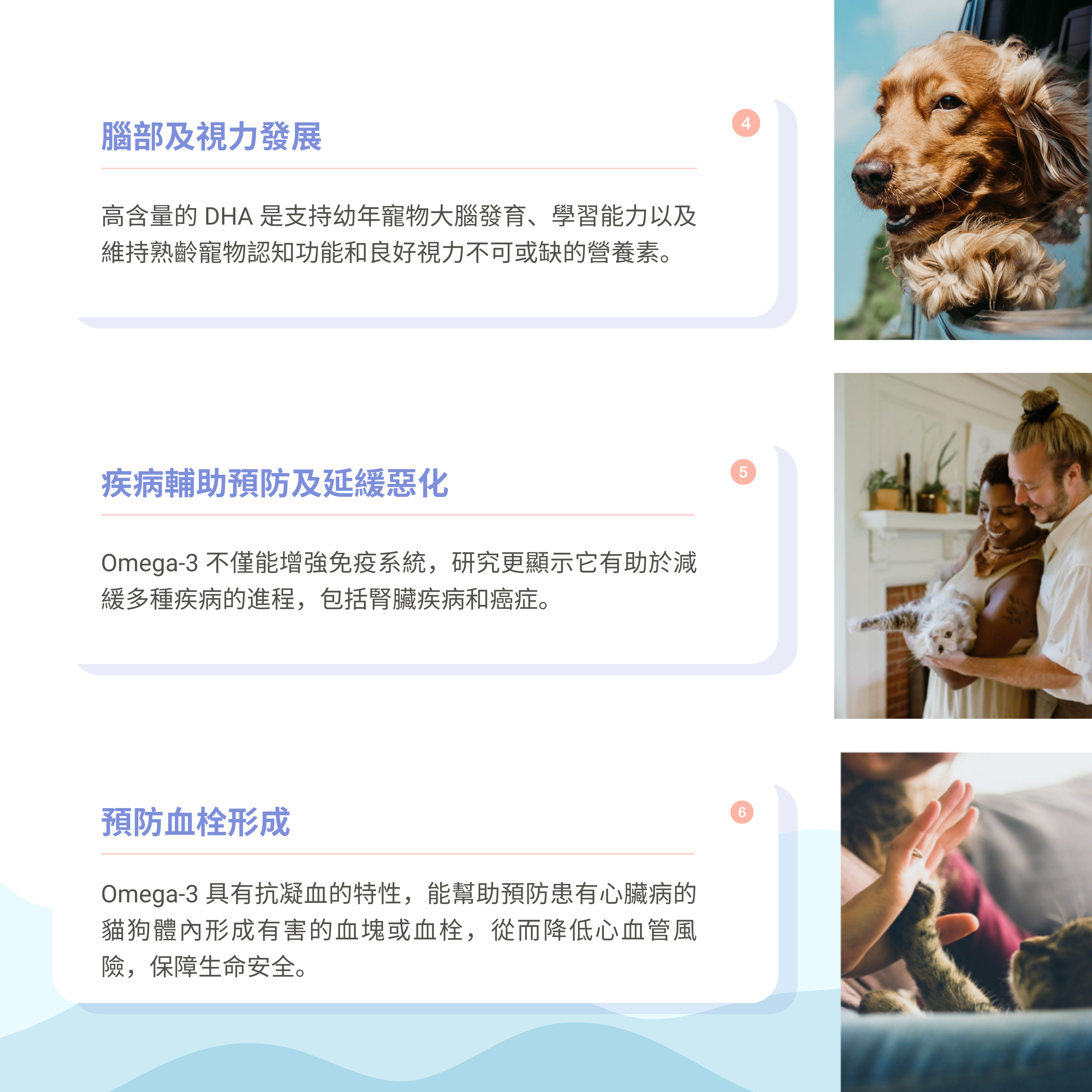 加拿大Carino Pets® Omega-3 Seal oil 海豹油（250ml）